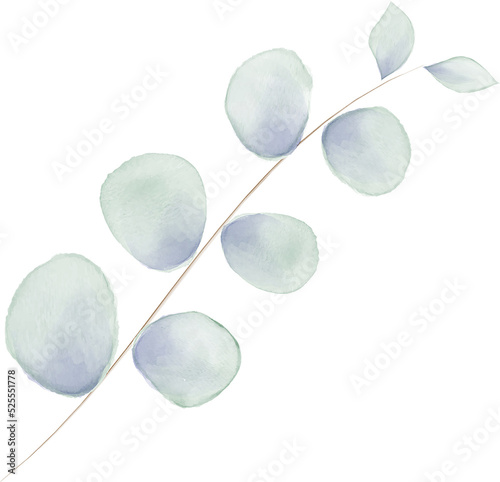 Eucalyptus Leaves Branch Watercolor