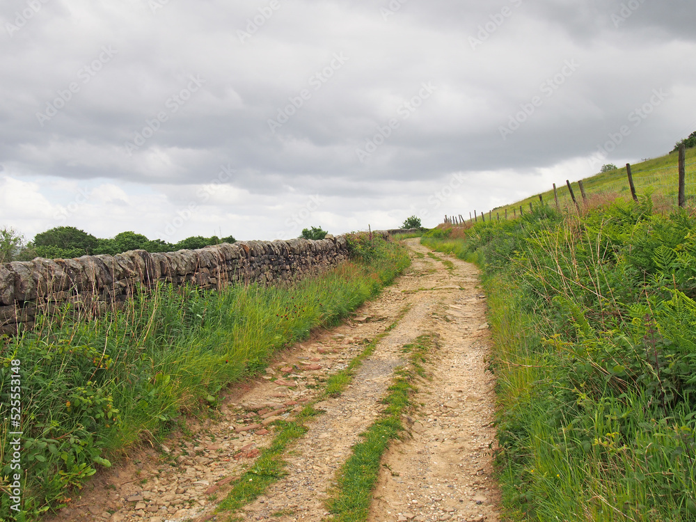 Narrow dirt lane running alongside a dry stone wall surrounded hillside meadows in calderdale west yorkshire near hebden bridge