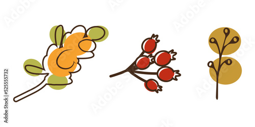 autumn botanical illustration of sea buckthorn branches rosehip berries line art style