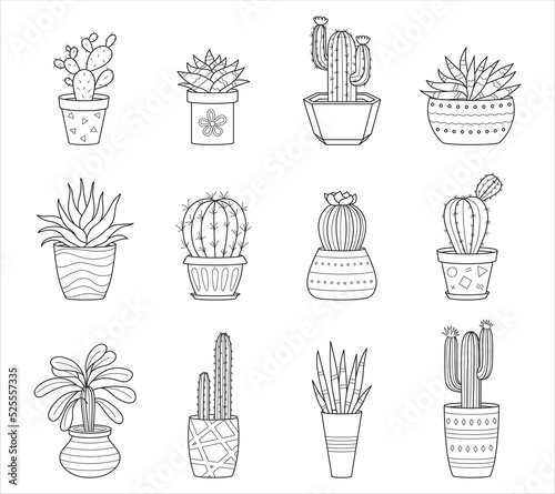 Set of outline doodle cactus and succulents. Collection with different types of cacti and home plants. Black and white linear vector illustrations isolated on white background.