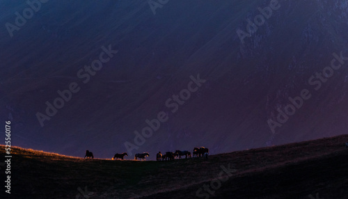 Picturesque landscape of mountainous terrain and grazing animals at sunset