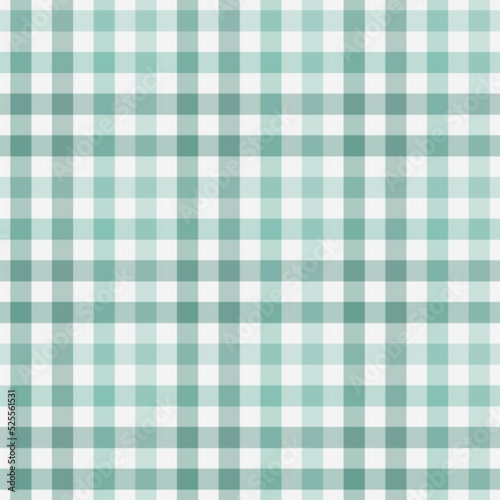 Beautiful plaid pattern design.