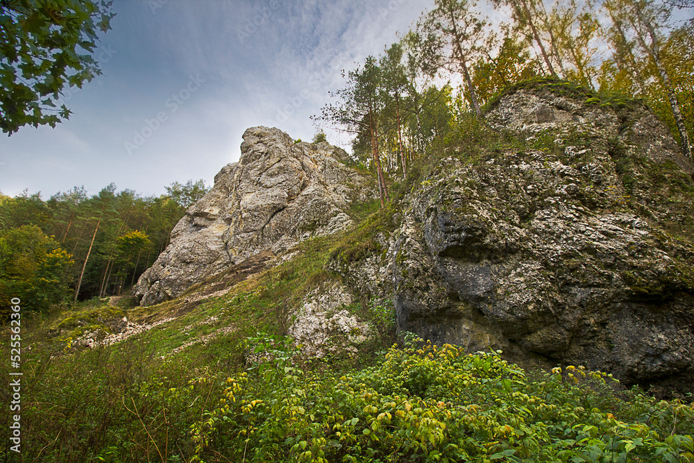 Autumn landscape. A rock in an autumn forest