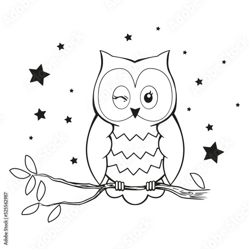owl on tree