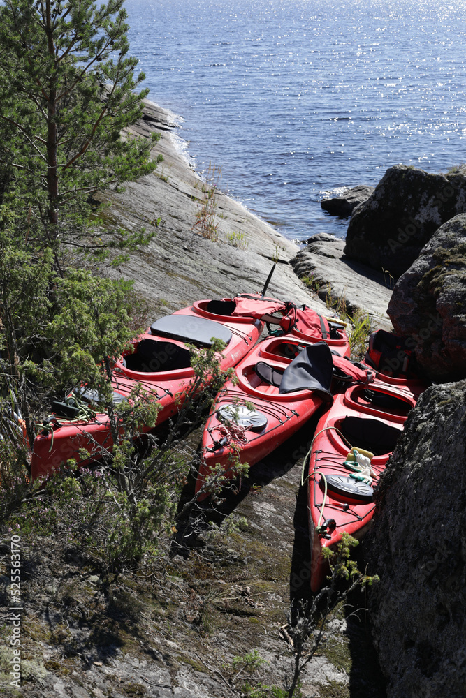 Obraz premium canoe on the river