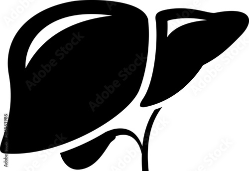 Liver shape vector icon
