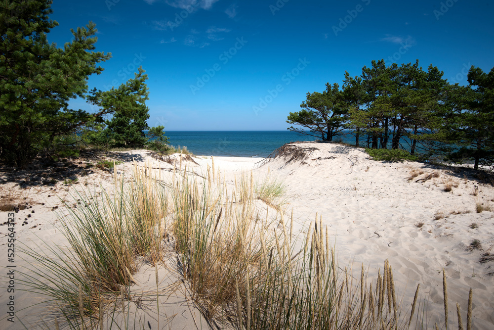 Baltic Sea. Beautiful beach, coast and dune on the Hel Peninsula. Piękne plaże półwyspu helskiego z widokiem na wydmę, roślinność wydmową, piasek i morze bałtyckie.  Okolice Helu i Juraty 
 - obrazy, fototapety, plakaty 