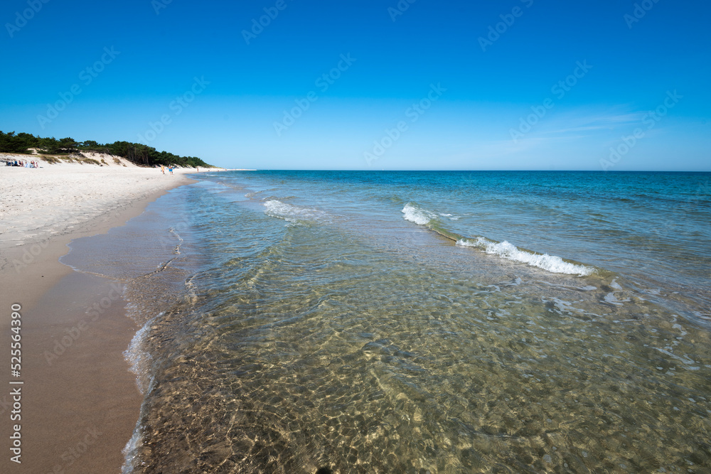 Obraz na płótnie Baltic Sea. Beautiful beach, coast and dune on the Hel Peninsula. Piękne plaże półwyspu helskiego z widokiem na wydmę, roślinność wydmową, piasek i morze bałtyckie.  Okolice Helu i Juraty 
 w salonie