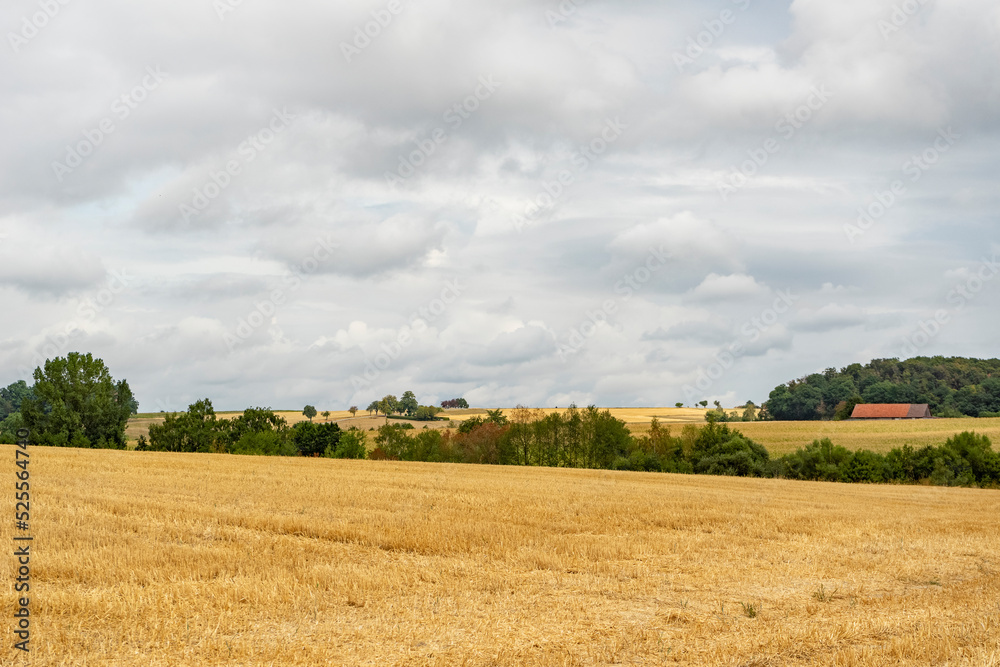 Clouded farmland scenery