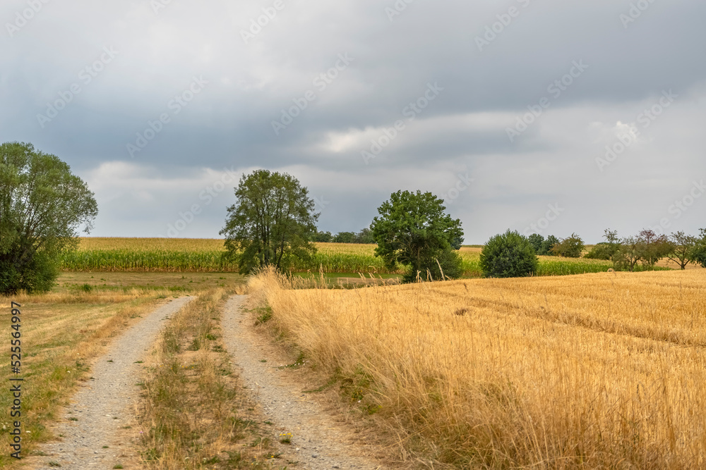 Fototapeta premium Stormy farmland scenery