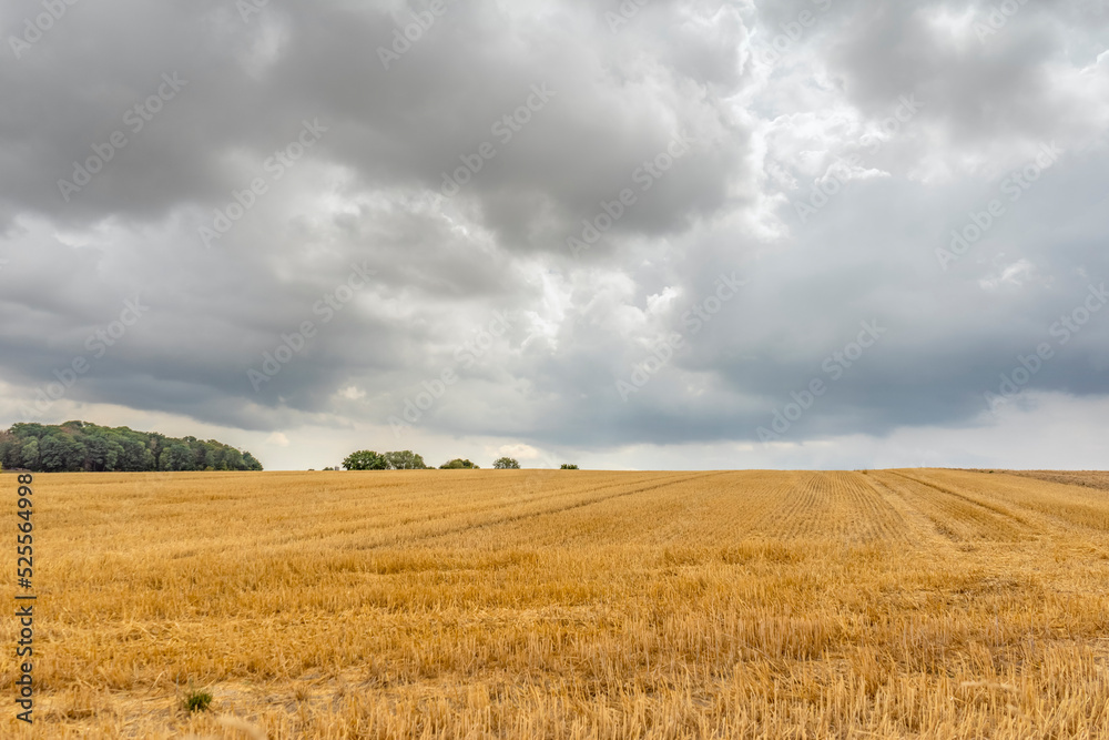 Stormy farmland scenery