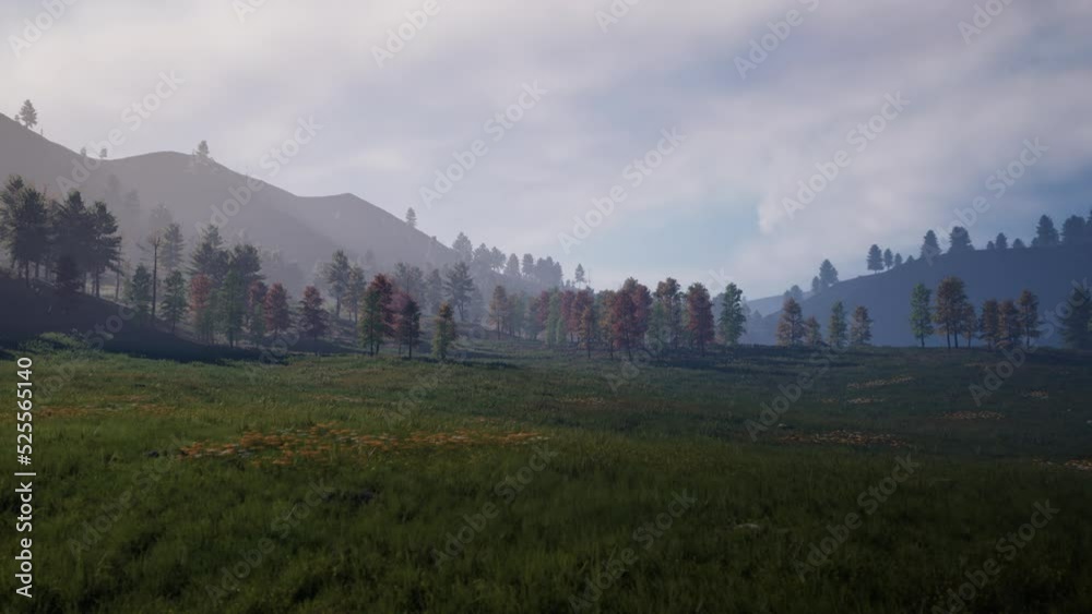 Summer landscape in the Carpathian mountains Summer landscape in the Carpathian mountains
