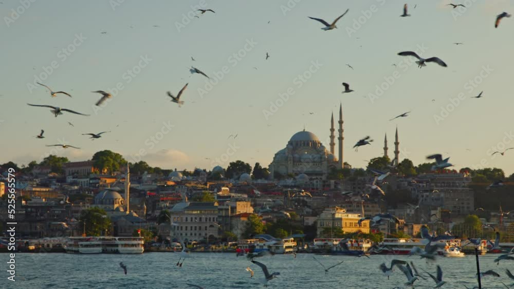 View of Hagia Sophia in Turkey, 6k