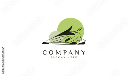 Shoe Logo, for your business and design needs