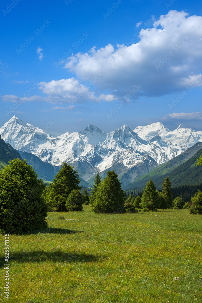 Fototapeta premium landscape of forest and snow peak