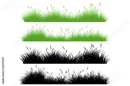 long grass. reeds grass set