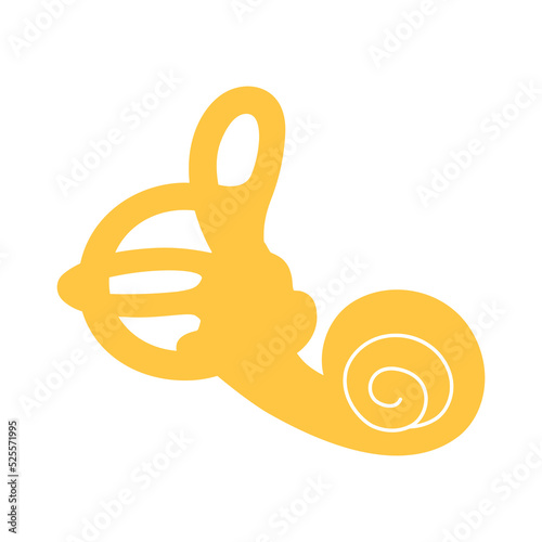 Human vestibular apparatus. The cochlea of the vestibular apparatus illustration, flat design. photo