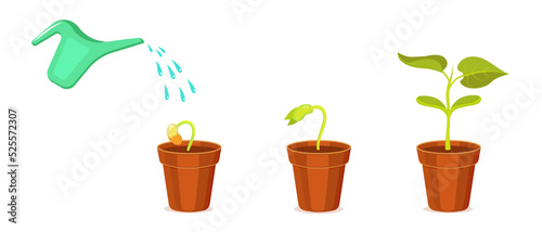 Germination of seedlings in flower pot. Watering indoor plants. Vector illustration of seed and shoot growth stages.