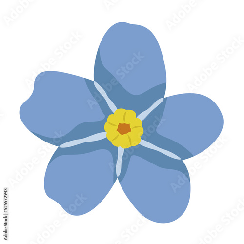 Myosotis top view. Wildflower in cartoon style.