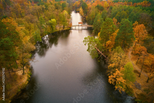 Aerial view of the autumn park and lake with a small wooden bridge for walking.