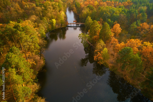Fototapeta Naklejka Na Ścianę i Meble -  Aerial view of the autumn park and lake with a small wooden bridge for walking.
