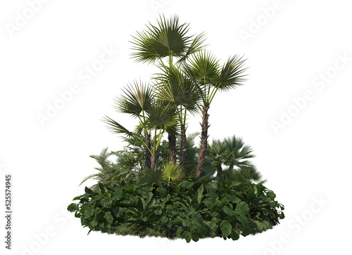 Tropical plants on a transparent background © jomphon
