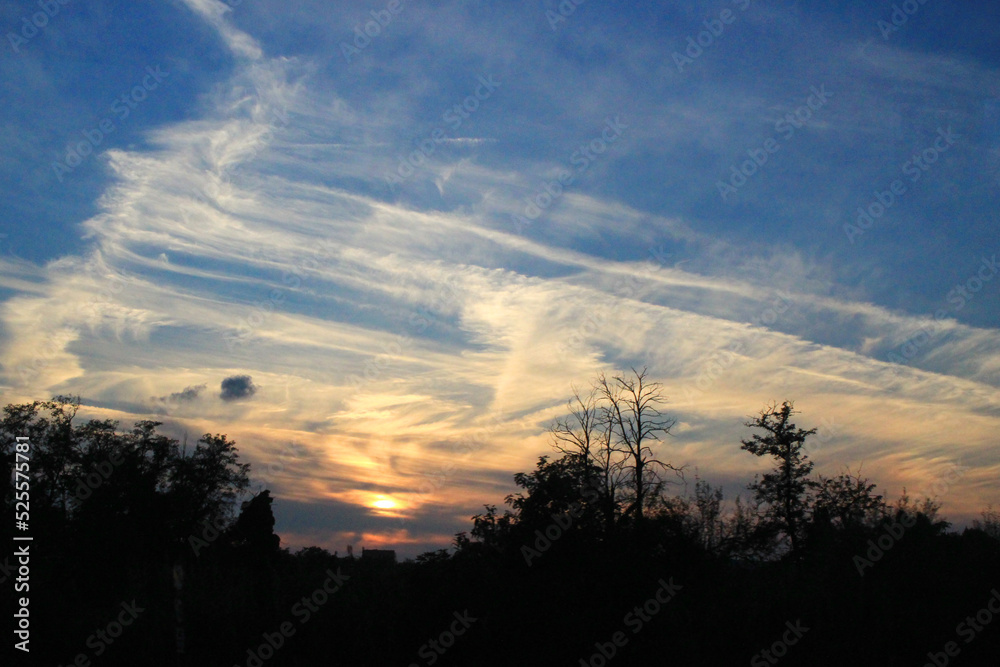 夕暮れの空と電線のシルエットの写真 夕暮れの空と電線のシルエットの写真