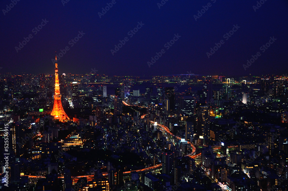 Night view of Tokyo_01