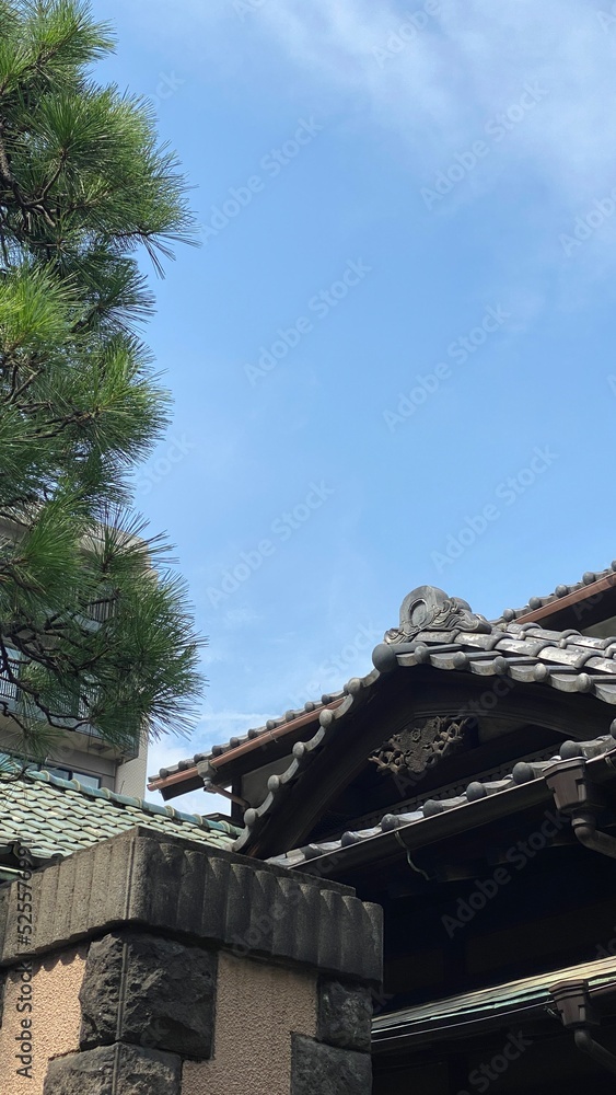 The beautiful old roof architecture of Japan on the street of Nezu Tokyo, the pine tree and the details, year 2022 August 24th, Japan The beautiful old roof architecture of Japan on the street of Nezu Tokyo, the pine tree and the details, year 2022 August 24th, Japan
