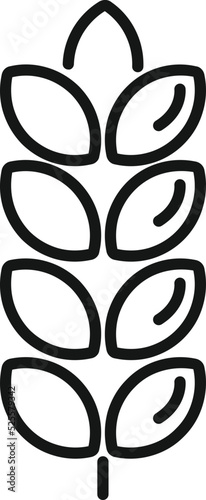 Gmo wheat icon outline vector. Dna food