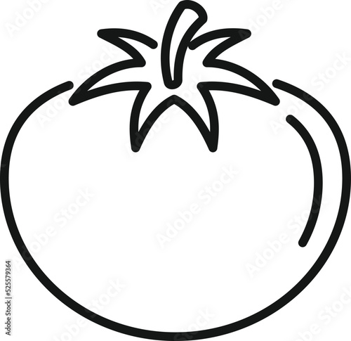 Gmo tomato icon outline vector. Dna food
