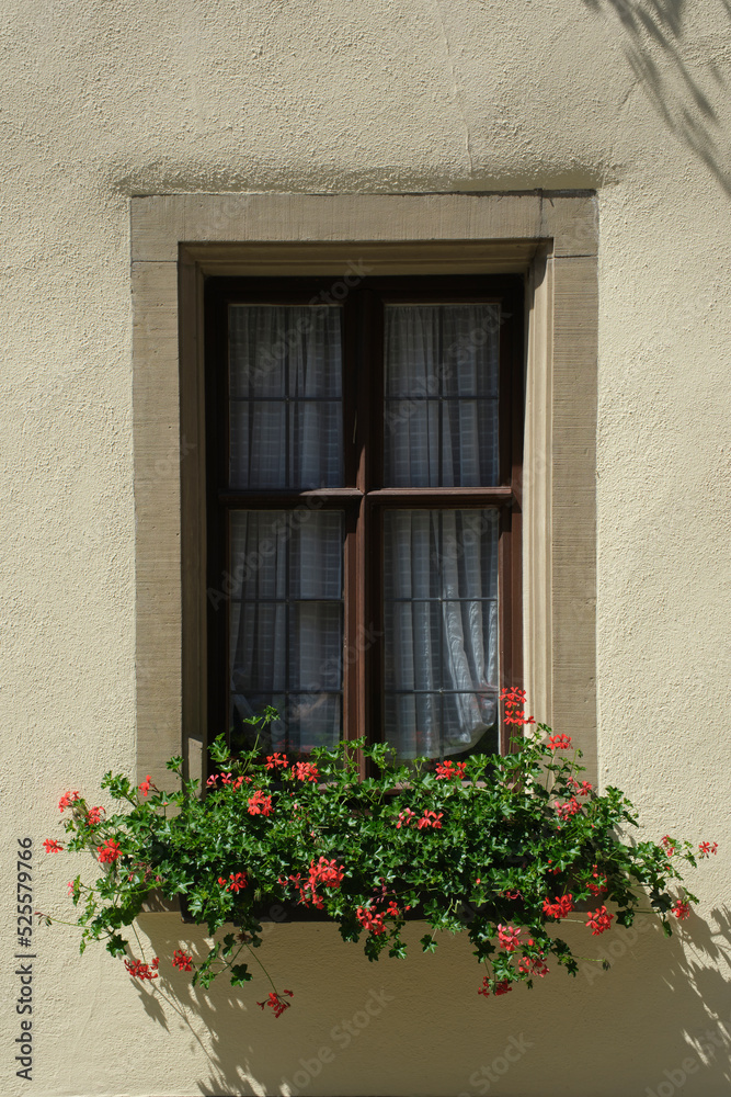 Flower box full of geraniums is decorating a window in front of a house in Germany