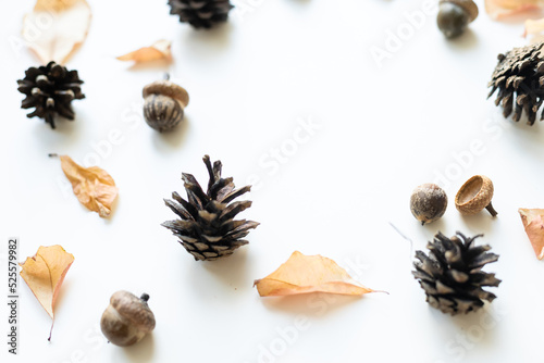 Different size leaves of autumn oak leafs, acorns and berries of wild rose isolated on white background.