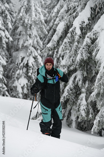 male skier in colorful costume walking along snow-covered fir trees. Ski tour.