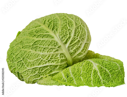 green white cabbage lie on a white background