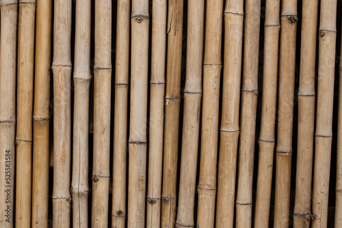 Fototapeta Naklejka Na Ścianę i Meble -  Bamboo wall, Bamboo fence background.