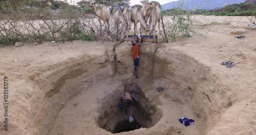 Climate change.drought.water crisis. Close-up.African men drawing water for camels from very deep wells due to persistent drought. Kenya