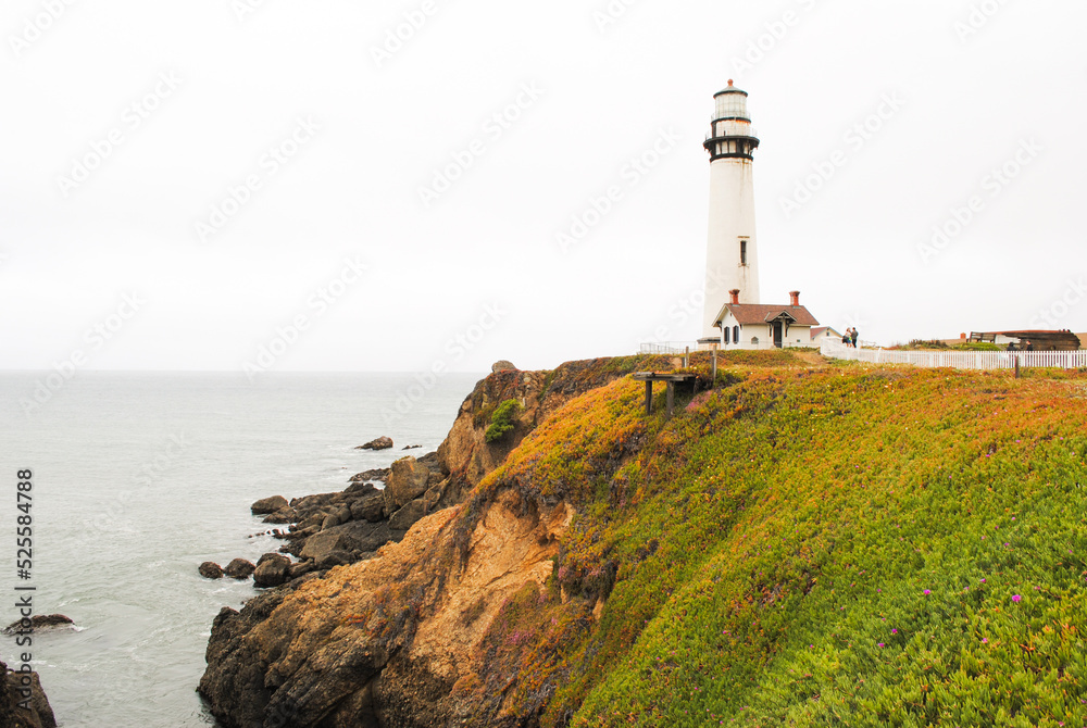 Lighthouse on the Coast of California