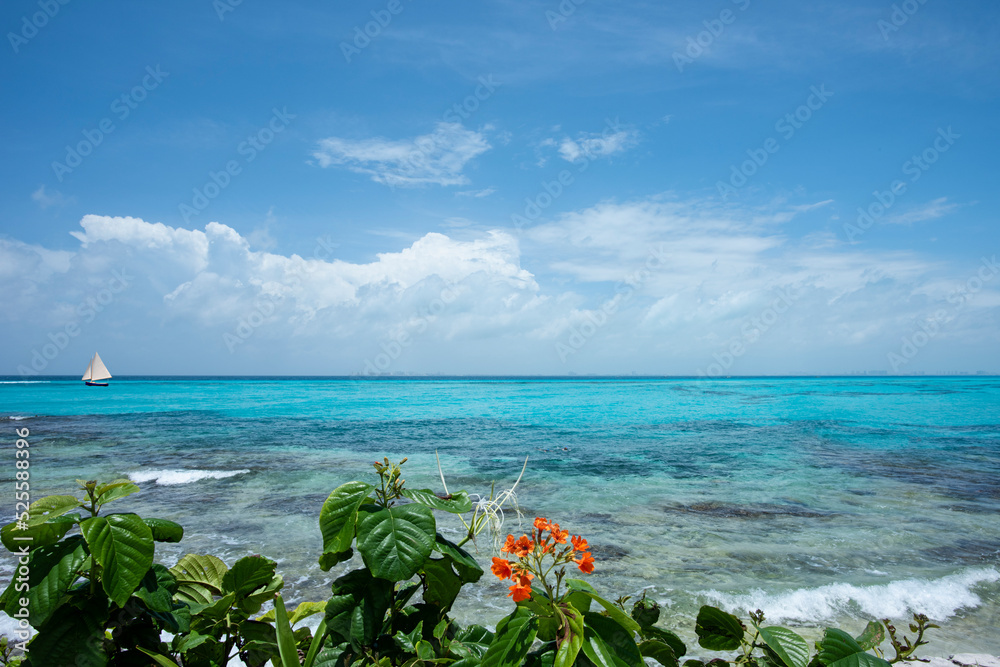 The panoramic view of the tropical sea with a sailboat sailing against the blue sky in Mexico. Selective focus