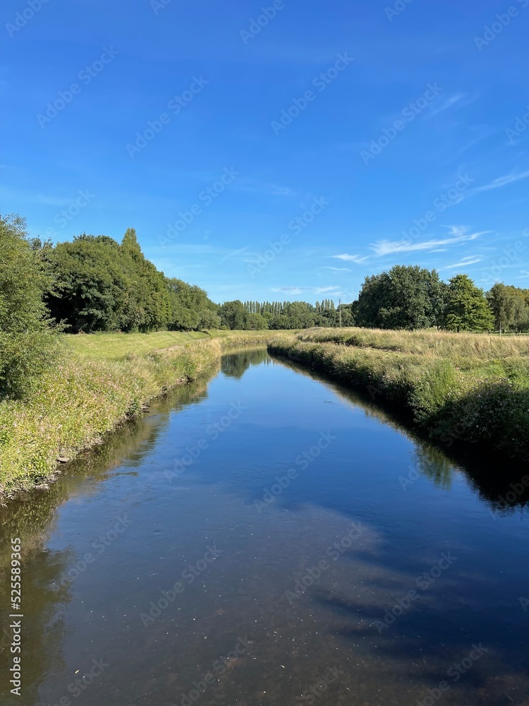 River in the forest with a blue sky background. 