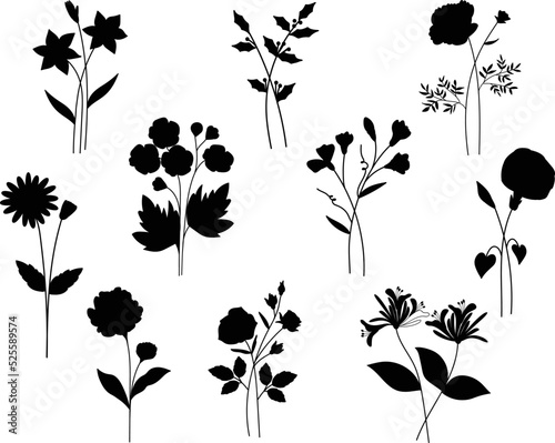 Birthday Flower Flat vector Silhouettes