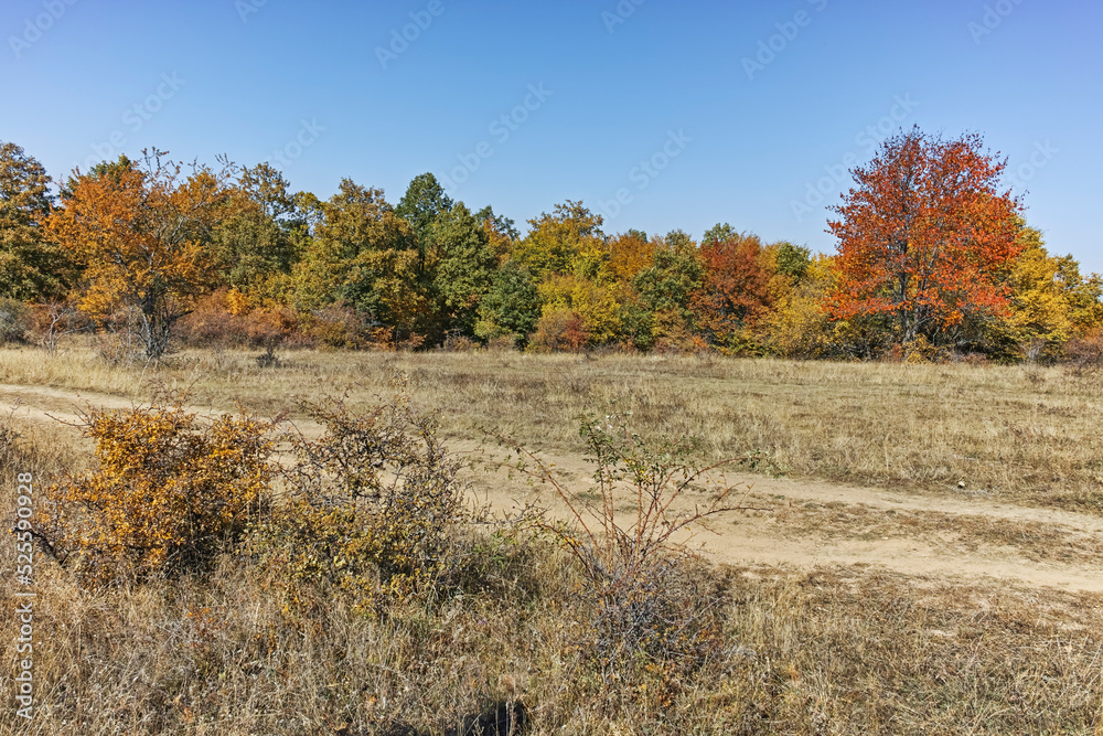 Autumn landscape of Cherna Gora mountain, Bulgaria Autumn landscape of Cherna Gora mountain, Bulgaria