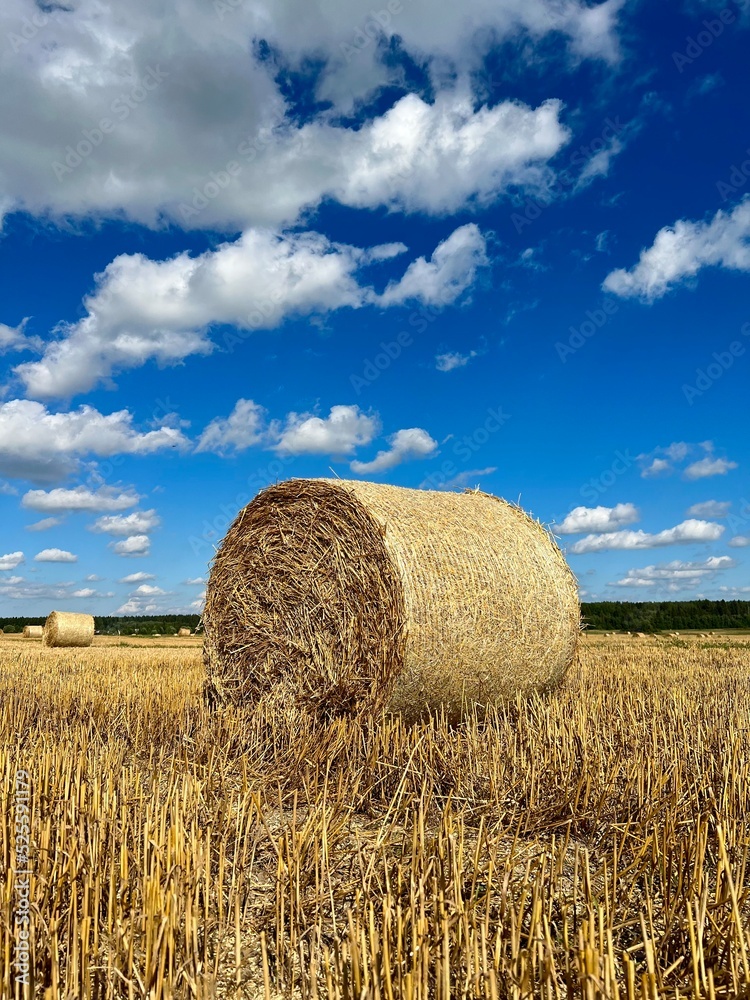 straw bales on a field