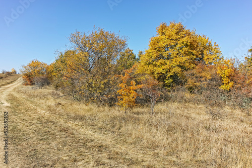 Autumn landscape of Cherna Gora mountain, Bulgaria