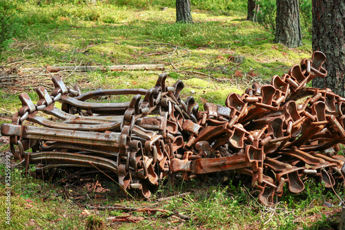 Fototapeta Naklejka Na Ścianę i Meble -  Continuous rusty excavator tracks of bulldozer lying on forest ground on grass