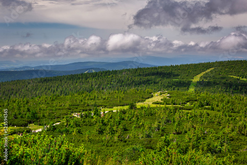 Fototapeta Naklejka Na Ścianę i Meble -  Summer scenery of the trail on Mount Szrenica in the Karkonosze Mountains, Poland.