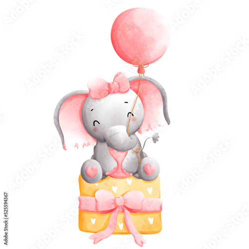 Photography baby girl elephant