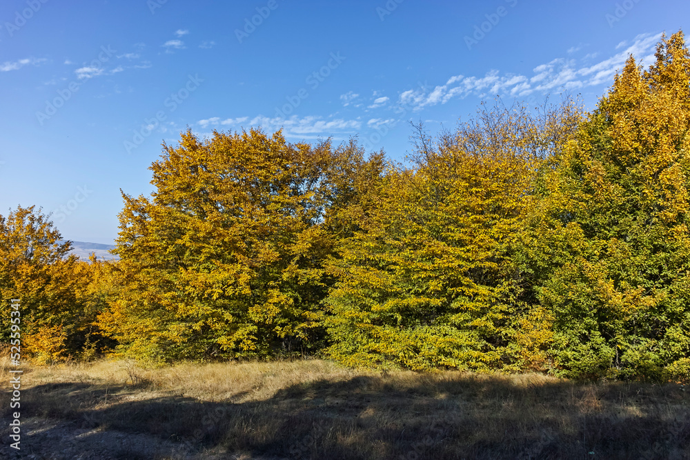 Autumn landscape of Cherna Gora mountain, Bulgaria