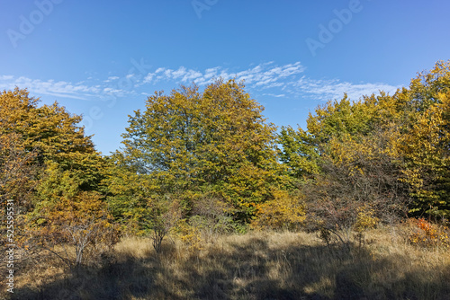 Autumn landscape of Cherna Gora mountain  Bulgaria