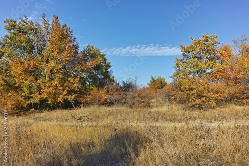 Autumn landscape of Cherna Gora mountain, Bulgaria